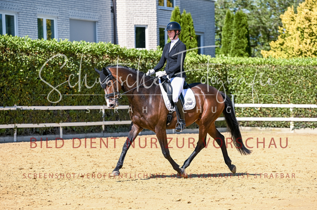 Schugtsche-Aluta25-50.Dressurpferdeprf.L-64 | Schugtsche Fotografie - Realisiert mit Pictrs.com