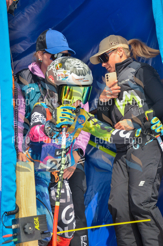 _ELE7215 | holidayphoto