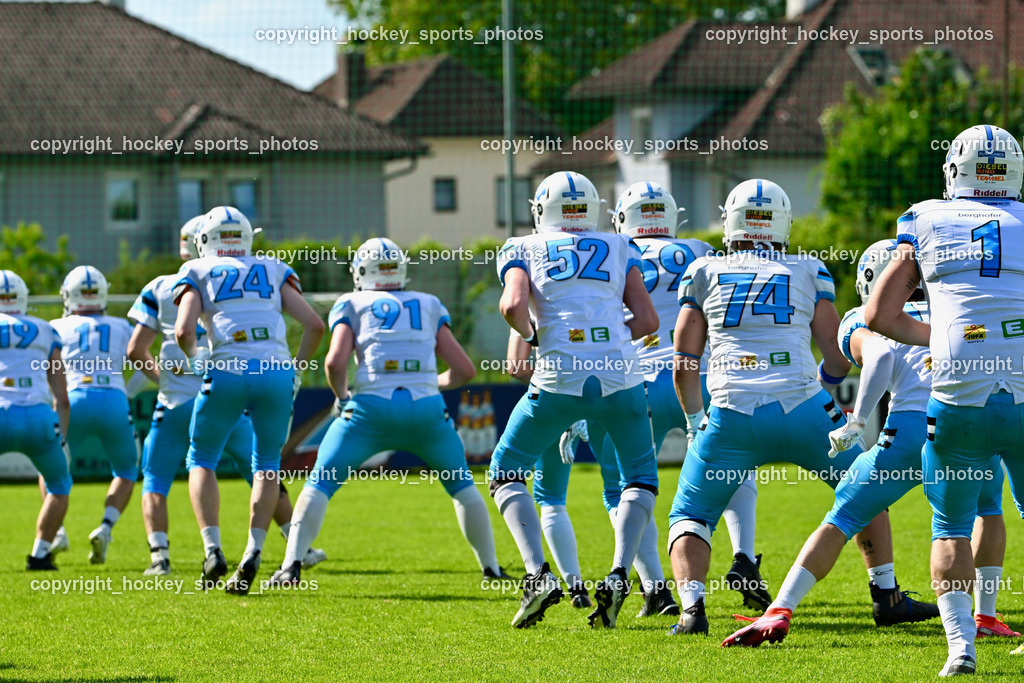 Carinthian Lions vs. Styrian Bears | Carinthian Lions vs. Styrian Bears, Carinthian Lions vs. Styrian Bears am 20.05.2024 in Klagenfurt (ASV Sportplatz), Austria, (Photo by Bernd Stefan)