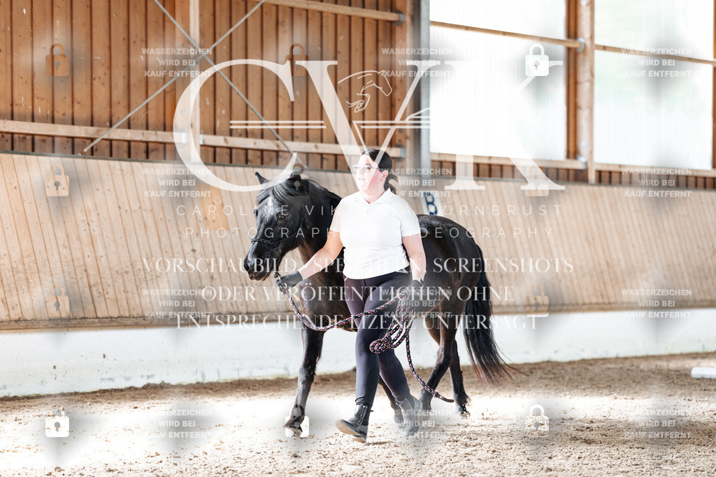 CK905677 | Turnierfotografie Pferdefotografie Trier Rheinland-Pfalz Pferdesport Reitsport Tierfotografie Sportfotografie Pferdevideo Pferdevideografie Equestrianvideography equestrianphotography  - Realisiert mit Pictrs.com
