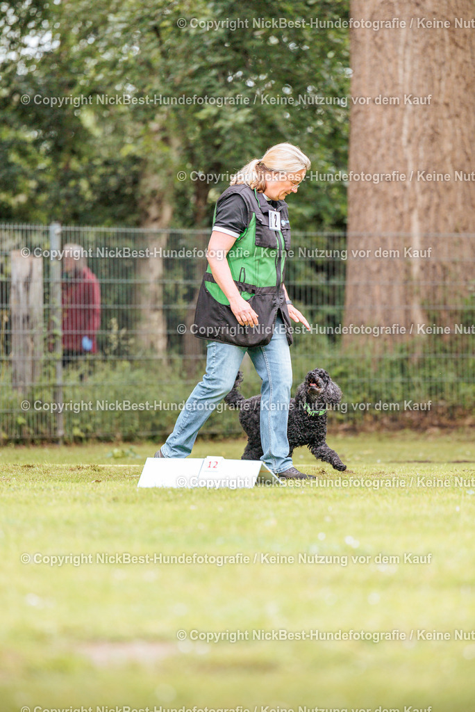 RO-Blumenthal-2026-Nickbest-Hundefotografie-1625 | Dein Hund! Dein Moment! Deine Erinnerungen! Hundefotografie in Bremen Blumenthal. Ich fange die besonderen Momente deines Vierbeiners ein – ob Indoor mit Blitzanlage oder in der freien Natur. Sicher dir dein Moment und dein Termin für eure Erinnerungen.