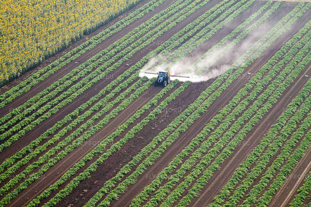 Vue aérienne: Vue de la ville à Alberoro dans le département Toscane, Italie. Photo: IMG_43600.jpg prise le 27/07/2011 par Werner Riehm/FLY-FOTO.eu – Résolution de l'original: 4272 x 2848 px