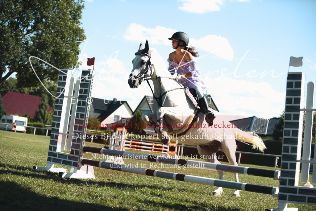 DSC_7550 | Pferde- und Turnierfotografie in Westsachsen. Pferdeportraits, Auftragszeichnungen und intuitive Kunst.
