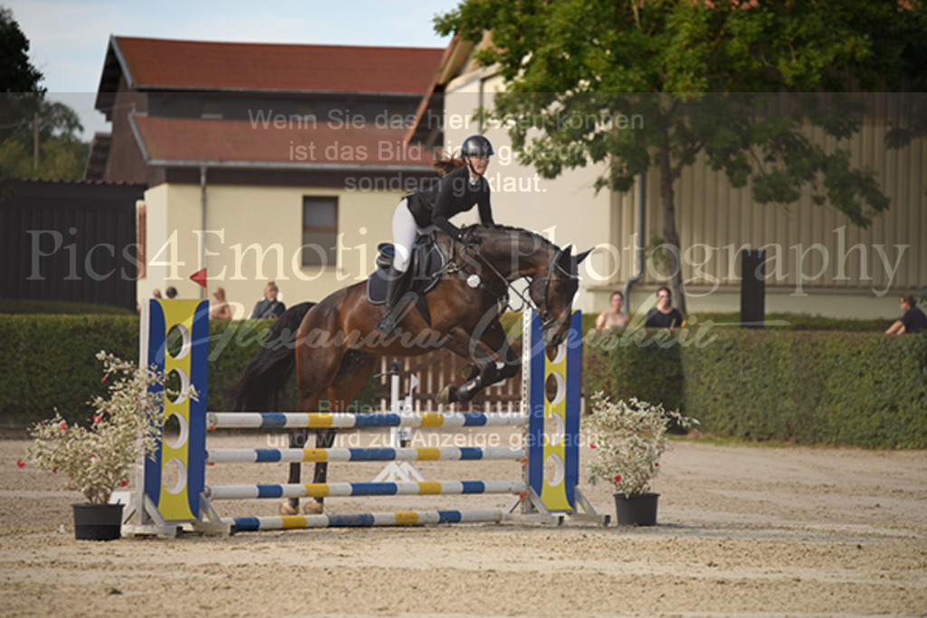 DSC_0687 | Pics4Emotions Photography - Realisiert mit Pictrs.com