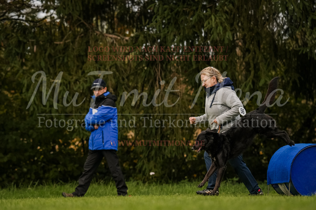20251005_THS_Turnier-692 | MuT (Mensch und Tier) mit Mona - Fotografie und Tierkommunikation - Realisiert mit Pictrs.com