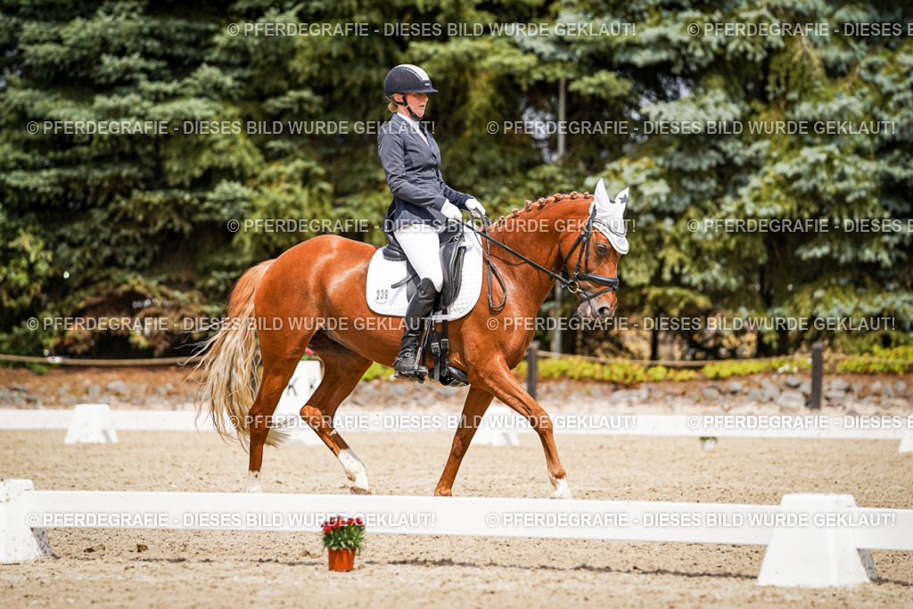 DSC03146 | Pferdegrafie