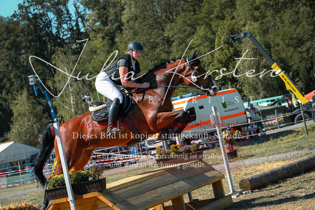 DSC_8126 | Pferde- und Turnierfotografie in Westsachsen. Pferdeportraits, Auftragszeichnungen und intuitive Kunst.