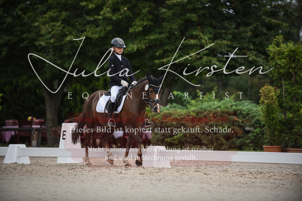 DSC_8151 | Pferde- und Turnierfotografie in Westsachsen. Pferdeportraits, Auftragszeichnungen und intuitive Kunst.