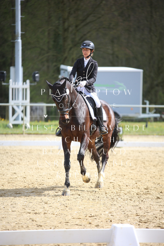 IMGT5423 | pl-fotografie