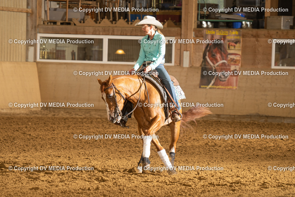 LAU00375 | dv-media-shop - Realisiert mit Pictrs.com