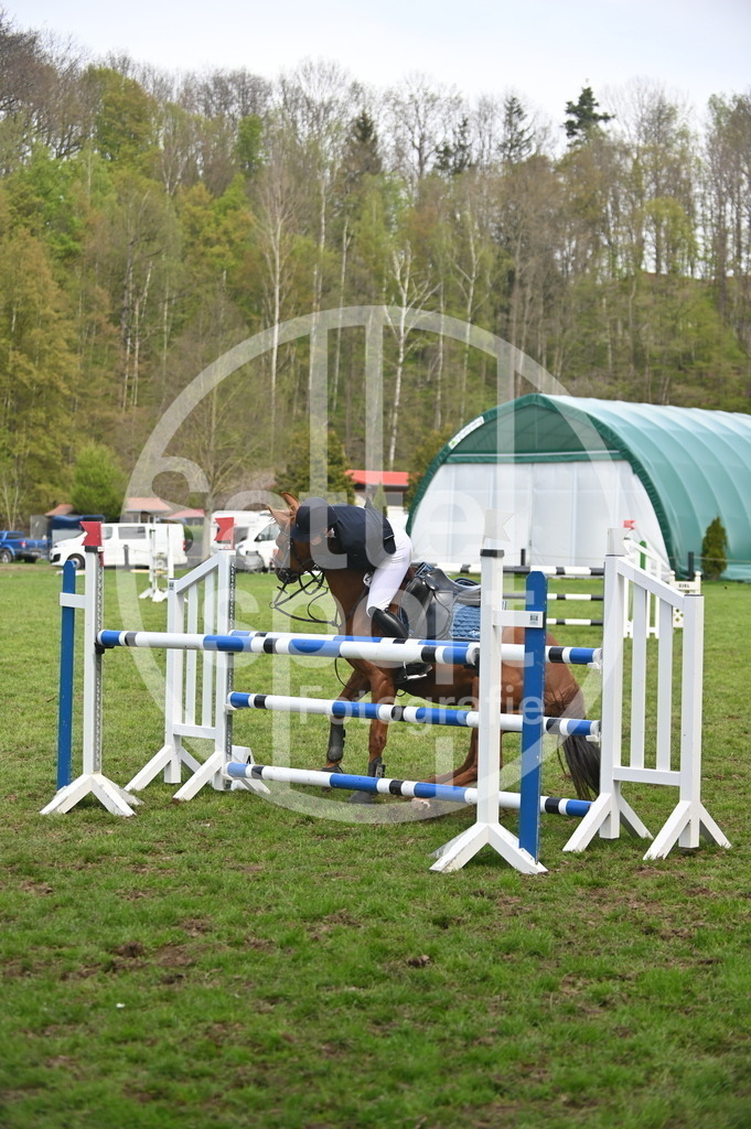 DSC_2467 | sattelsport - Realisiert mit Pictrs.com