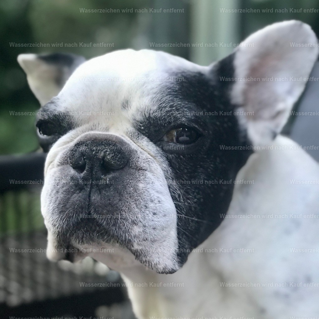 IMG_1347 | heikomoeller - Realisiert mit Pictrs.com