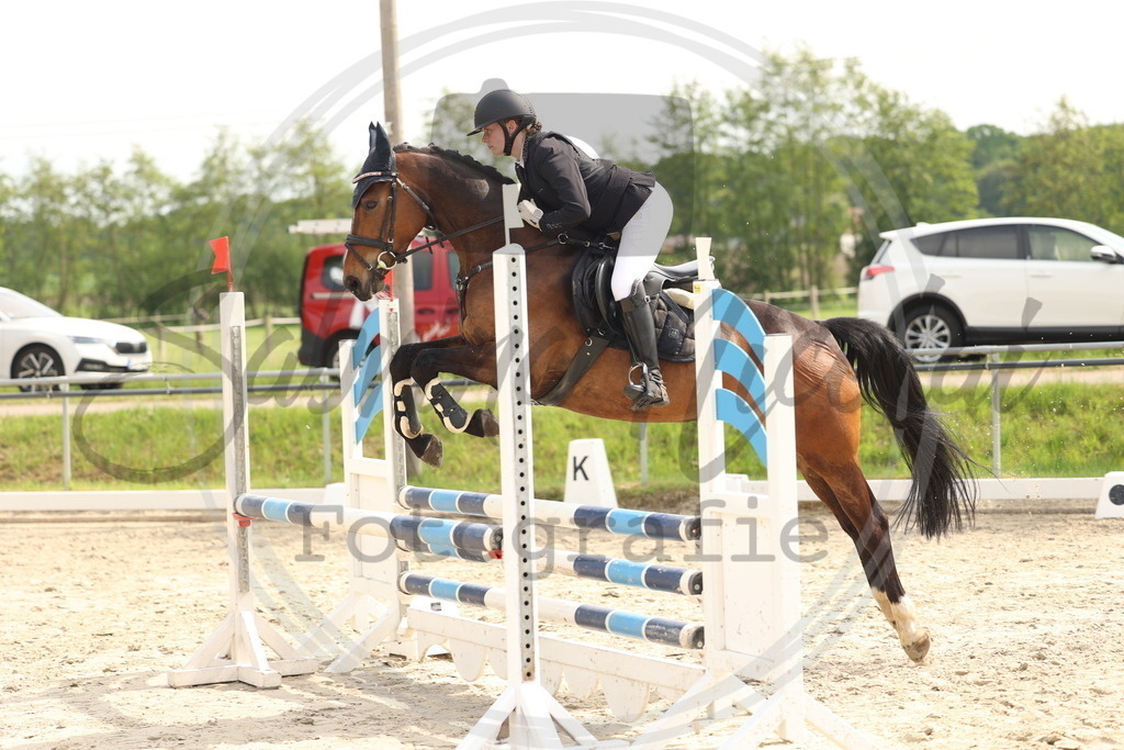 994A7805 | sabrinanicolaifotografie - Realisiert mit Pictrs.com