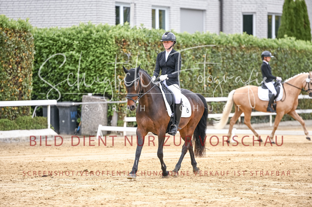 Schugtsche-Aluta25-42.EDressur -278 | Schugtsche Fotografie - Realisiert mit Pictrs.com