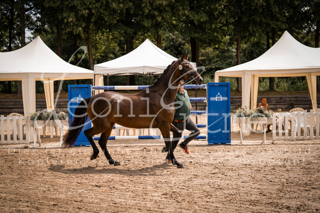 2. Fr00048 | Leoni Ertmer Photography - Realisiert mit Pictrs.com