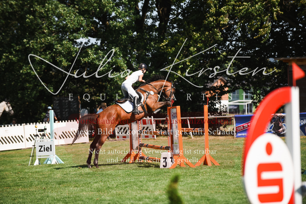 DSC_2894 | Pferde- und Turnierfotografie in Westsachsen. Pferdeportraits, Auftragszeichnungen und intuitive Kunst.