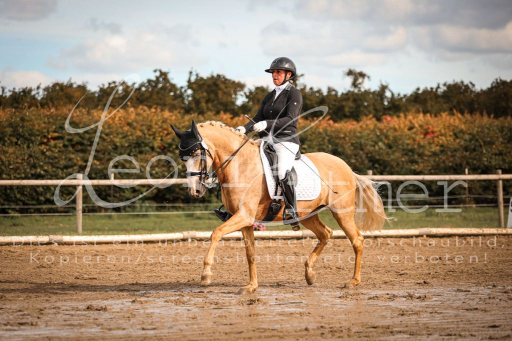 17.SoDrM00129 | Leoni Ertmer Photography - Realisiert mit Pictrs.com