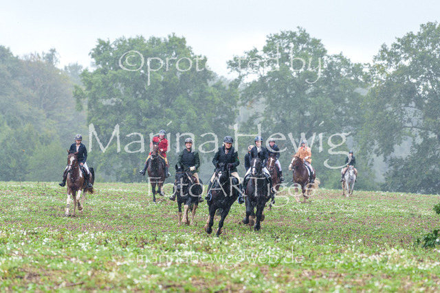 Jagd Perdoel 26 Sony-03516_MarinaHewig | Fotografie, FotoArt, PferdesportArt, Pferdesportfotografie, Landschaftsfotografie, Reisefotografie, Reise, Pferde - Realisiert mit Pictrs.com