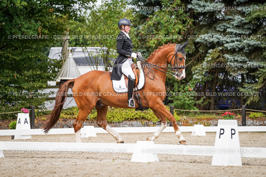 DSC06507 | Pferdegrafie