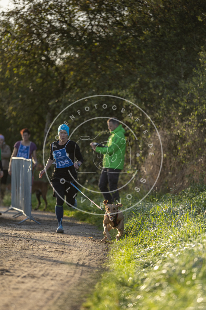 Pfotenfotografie.de_DV3A2551 | Hundefotografie, Tierfotograf, Pfotenfotografie, Fotoshooting Hund, Hunde Portrait, Hundesport, Hundeportraits, Heideshooting, Hunde, Sportfotograf, Hundefotograf, Turnierhundsport, THS, canicross - Realisiert mit Pictrs.com