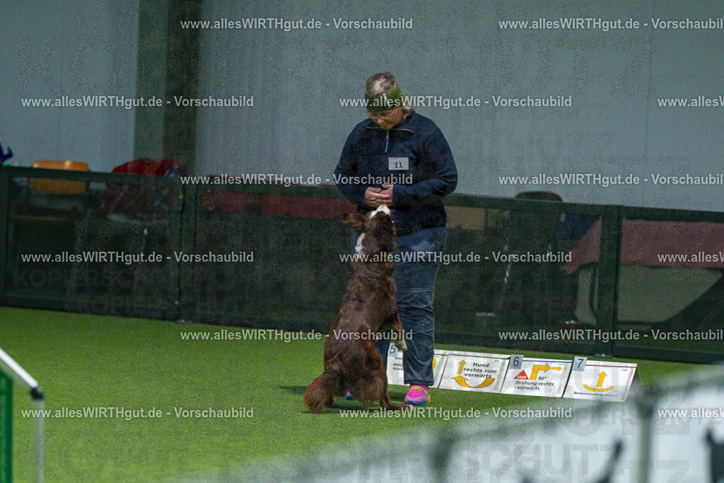 7R504940 | Professionelle Tierfotografie in Mönchengladbach von Daniel Wirth (allesWIRTHgut). Liebevolle & natürliche Bilder von Hunden & Katzen für unvergessliche Erinnerungen.