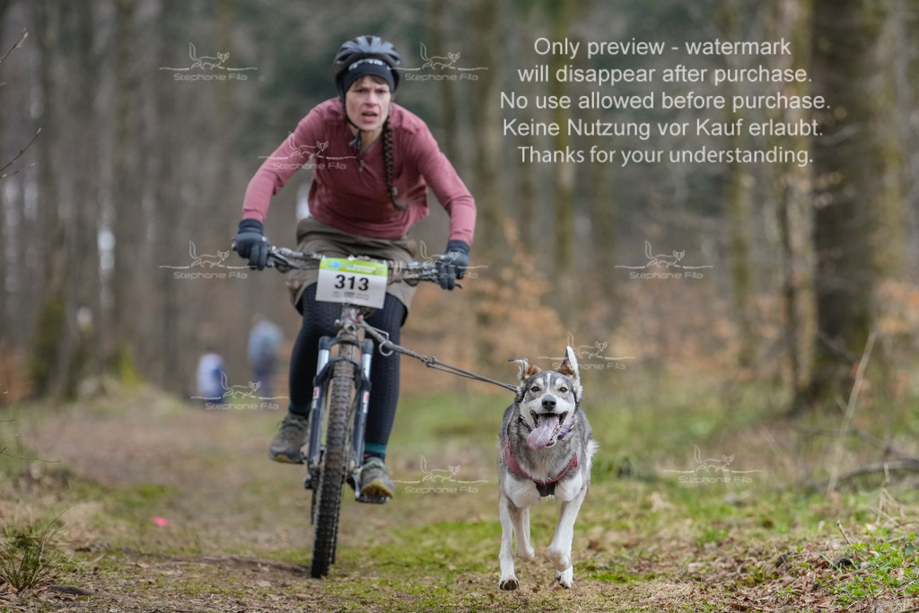 BikekurzSa-131 | stephaniefillaphotographie - Realisiert mit Pictrs.com