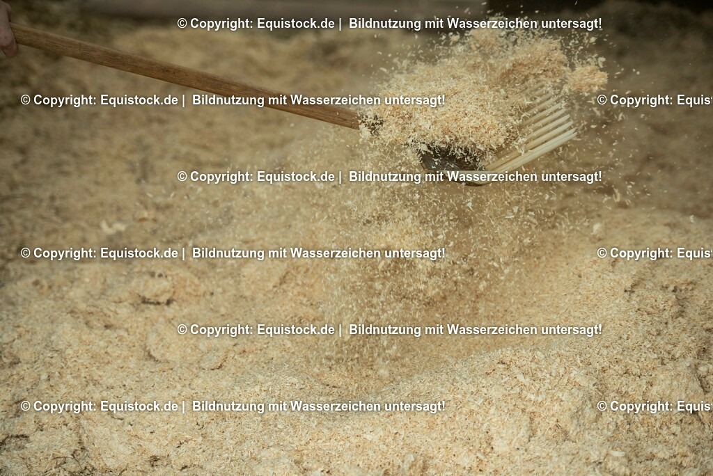20190409_Einstreu_in_Pferdebox_0004 | Foto: Thomas Hartig