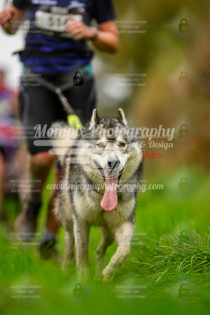 MompixPhotography_20TSB_E8_Run-45 | PayLife