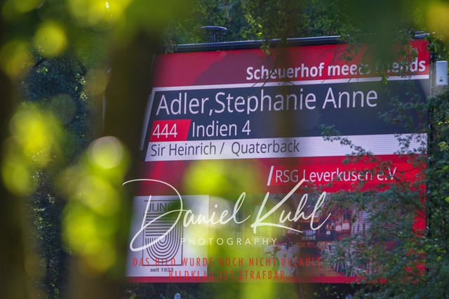 DKP41575 | Turniersportfotografie; Pferdefotografie; Dressurfotografie