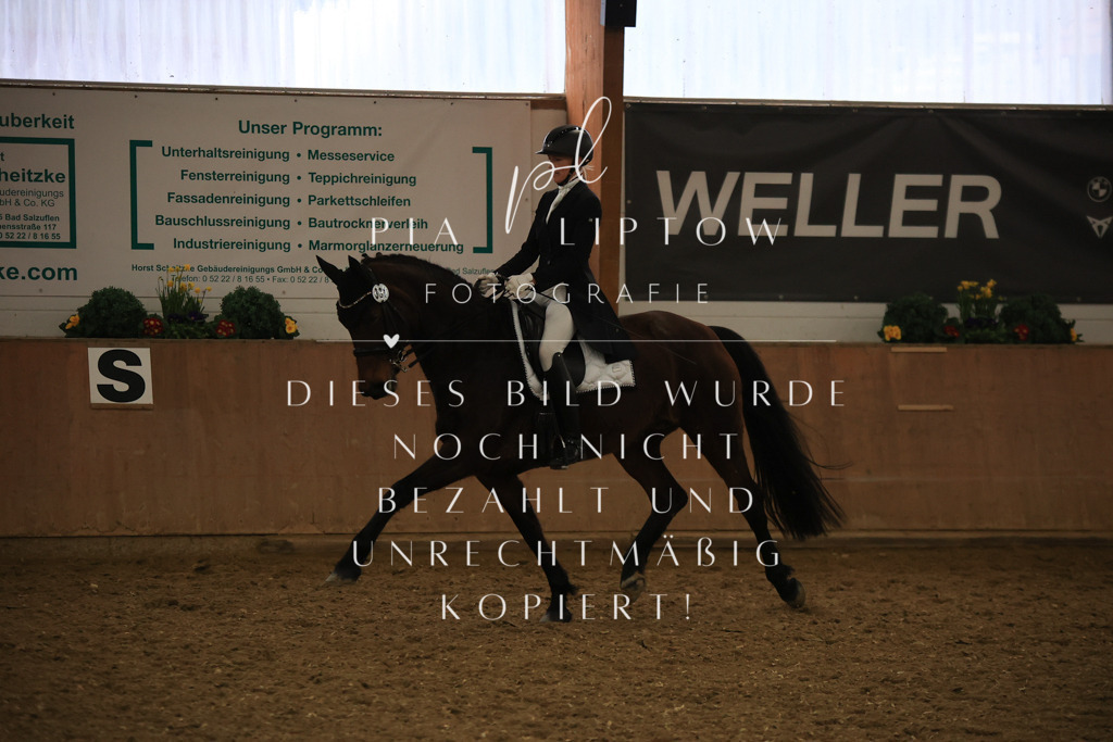 IMGT6136 | pl-fotografie