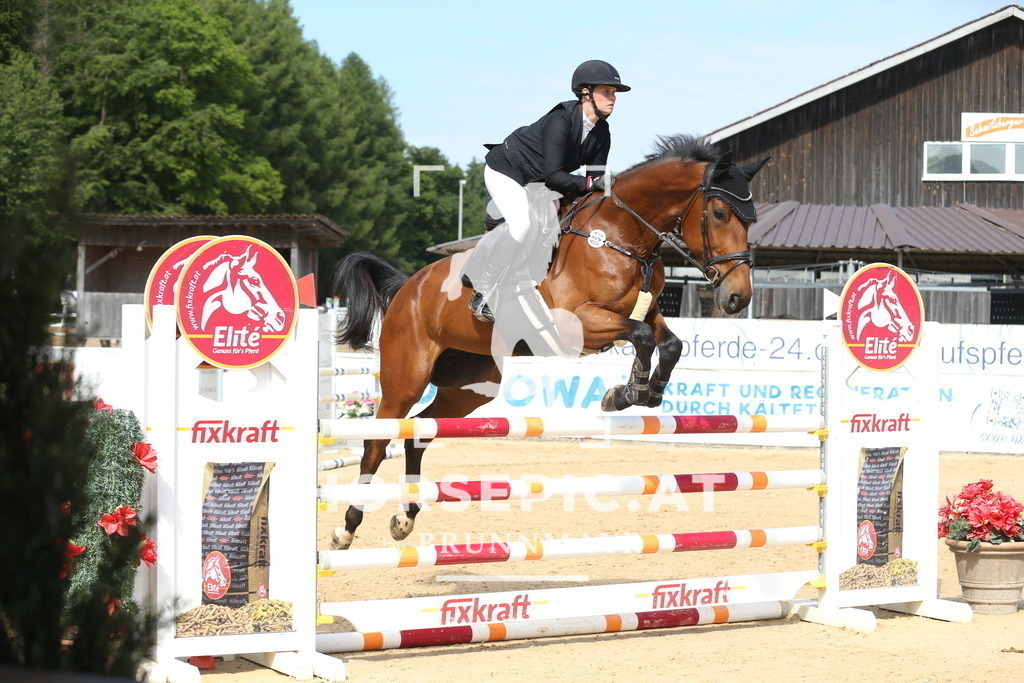 DL2Q0942 | Willkommen bei Brunnmayr - Design & Fotografie – Ihrem Spezialisten für Reitturniere und Pferdeveranstaltungen in Oberösterreich, Salzburg und Bayern! Seit über 17 Jahren sind wir leidenschaftlich dabei.