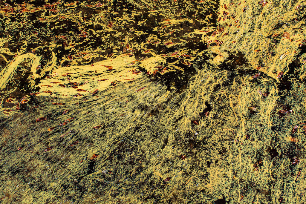 IU2A2287 | ap-design // andreas plenk - Realisiert mit Pictrs.com