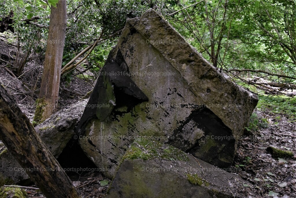 DSC_0018 (2) | Sportfotografie , Motorsport, Motoross, Reitsport, Mointainbike, Enduro,
Landschaft , Outdoor, Eventfotografie, Landschaft, Bilder online bestellen - Realisiert mit Pictrs.com