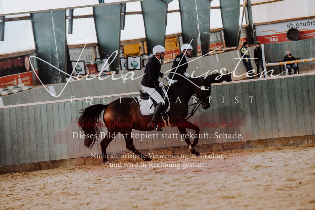 DSC_7707 | Pferde- und Turnierfotografie in Westsachsen. Pferdeportraits, Auftragszeichnungen und intuitive Kunst.