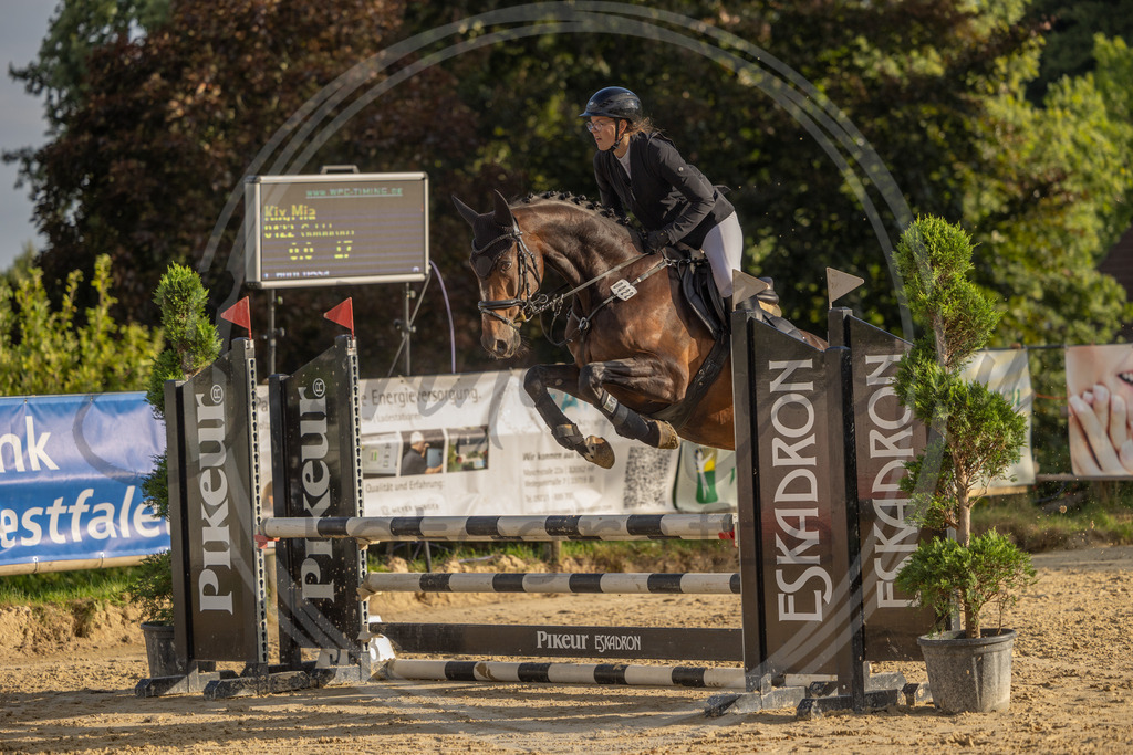 994A6974 | sabrinanicolaifotografie - Realisiert mit Pictrs.com