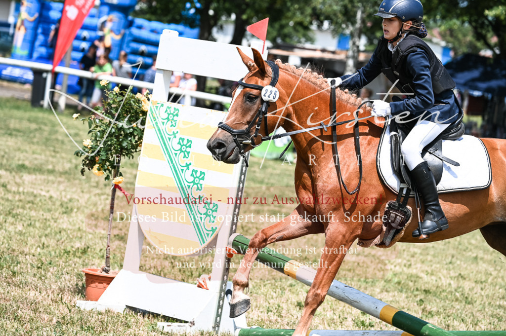 DSC_9673 | Pferde- und Turnierfotografie in Westsachsen. Pferdeportraits, Auftragszeichnungen und intuitive Kunst.