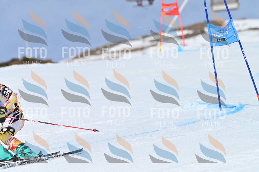 BGV_1225 | holidayphoto