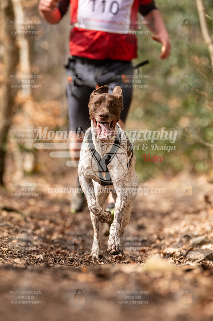 SPA_2023_DIM_Fun-10 | PayLife