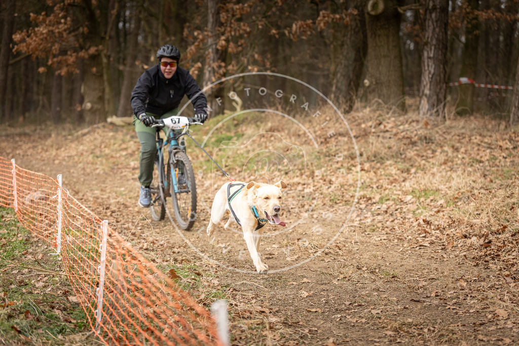 Pfotenfotografie_DV3A3435 | Hundefotografie, Tierfotograf, Pfotenfotografie, Fotoshooting Hund, Hunde Portrait, Hundesport, Hundeportraits, Heideshooting, Hunde, Sportfotograf, Hundefotograf, Turnierhundsport, THS,  - Realisiert mit Pictrs.com