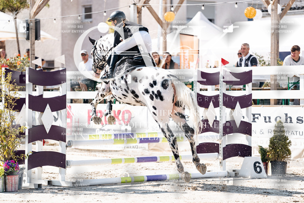 CK905024 | Turnierfotografie Pferdefotografie Trier Rheinland-Pfalz Pferdesport Reitsport Tierfotografie Sportfotografie Pferdevideo Pferdevideografie Equestrianvideography equestrianphotography  - Realisiert mit Pictrs.com