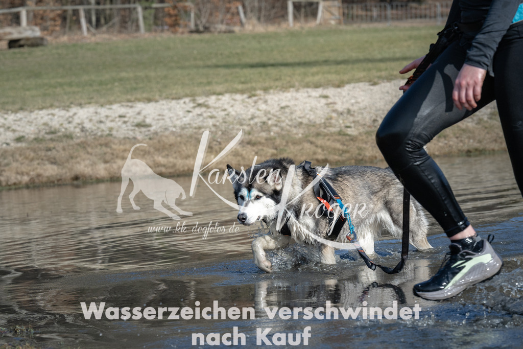 1409_ZZ99972 | kk-dogfotos