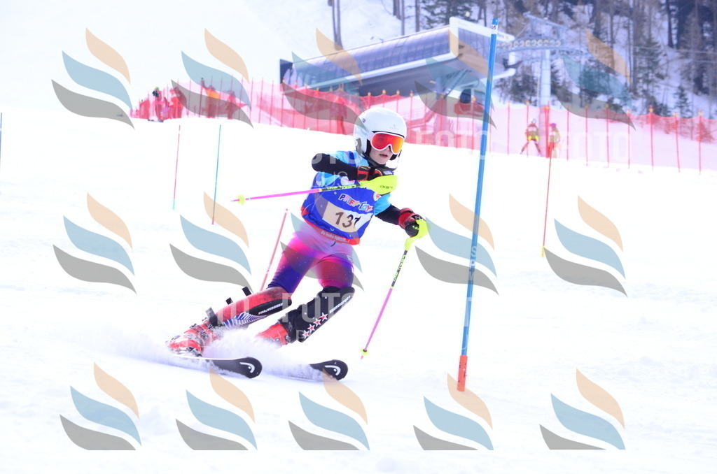 B1783 | holidayphoto