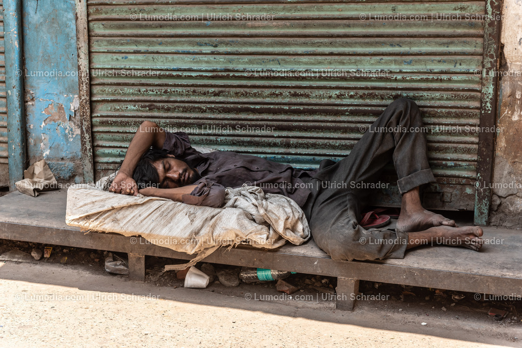 202510-201 | Stockfoto und Bilderpool mit Bildmaterial aus Deutschland, dem Harz, Halberstadt, Quedlinburg, Wernigerode und weltweit. Qualitativ hochwertige und professionelle Fotos anschauen und kaufen. - Realisiert mit Pictrs.com