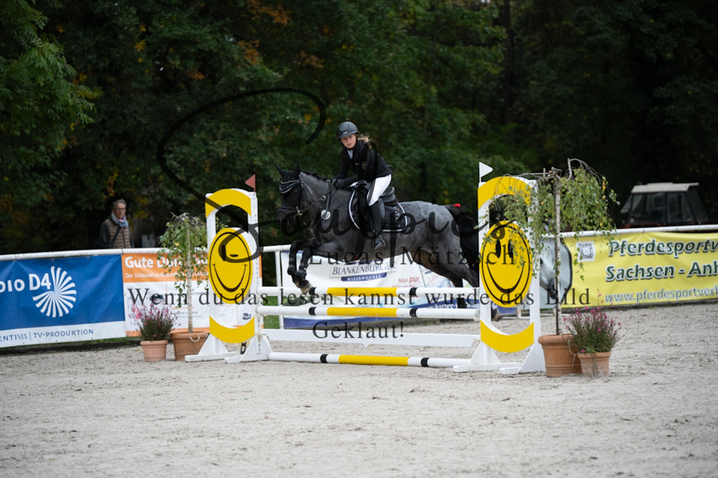 A7V08459 | Pferdefotograf