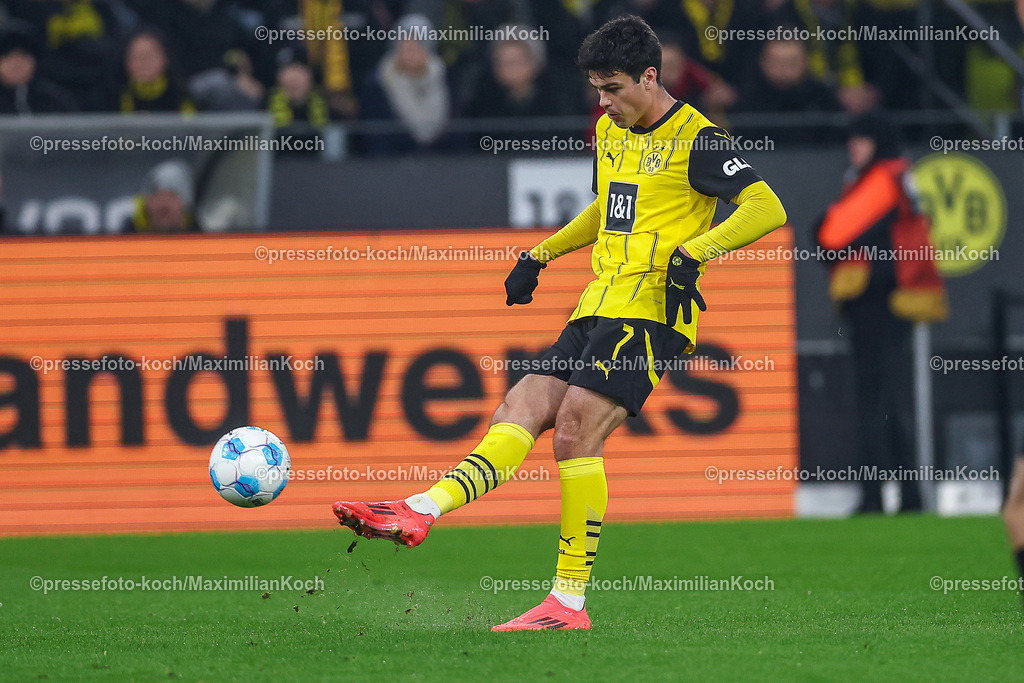 BVB15122402190 | 15.12.2024, Fußball, Borussia Dortmund - TSG 1899 Hoffenheim, 1. Fußball Bundesliga, 14. Spieltag, Signal Iduna Park, Saison 2024 2025: Giovanni Reyna (BVB #7) Schuss SchiessendDFB regulations prohibit any use of photographs as image sequences and or quasi-video.