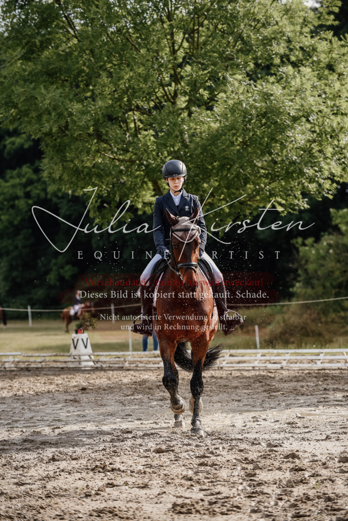 DSC_8613 | Pferde- und Turnierfotografie in Westsachsen. Pferdeportraits, Auftragszeichnungen und intuitive Kunst.