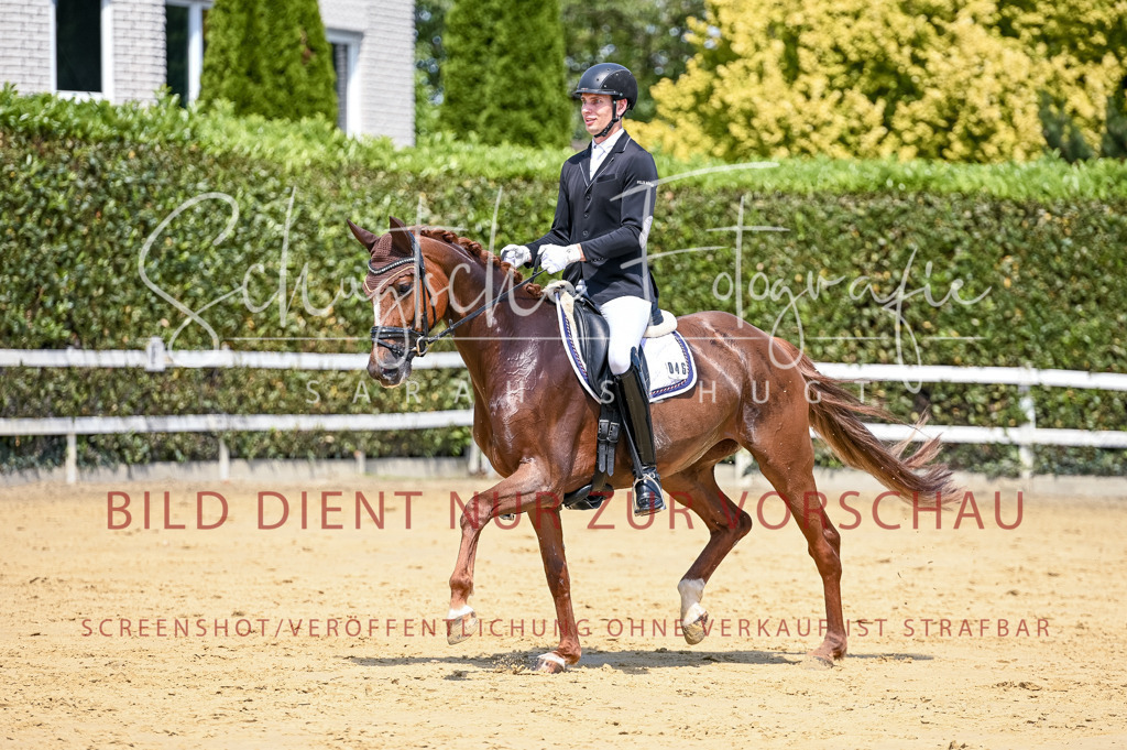 Schugtsche-Aluta25-49.Dressurpferdeprf.A-218 | Schugtsche Fotografie - Realisiert mit Pictrs.com