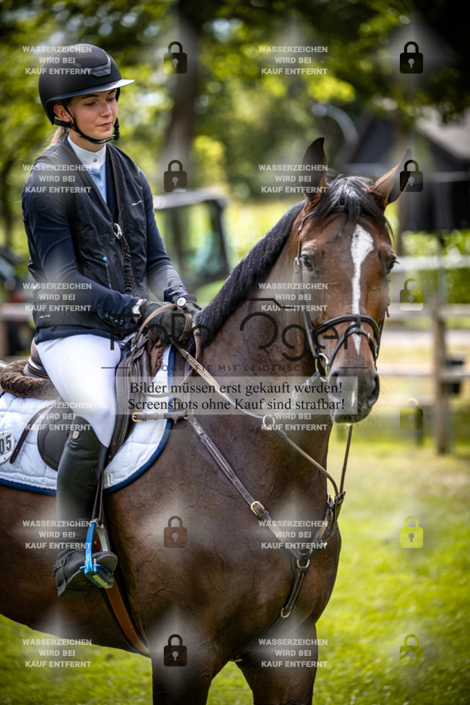 A3_2026-07 - Recke-7-0019 | Entdecke hochwertige Reitturnierfotos von Foto Oger. Professionell, emotional und authentisch – jetzt Lieblingsmomente im Shop bestellen.Deutschlandweite Turnierfotografie. - Realisiert mit Pictrs.com