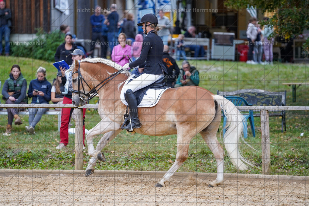 20231007-SN_00821 | Professionelle Turnier- und Reitsportfotografie - mit dem Finger am Auslöser. Pferdebilder aus dem Reitsport von den Turnierfotografen  Bayern , Pferdefotograf Bayern, Pferdeshooting Turnierbilder, Hochzeitsfotograf, Eventfotograf, Hochzeitsbilder