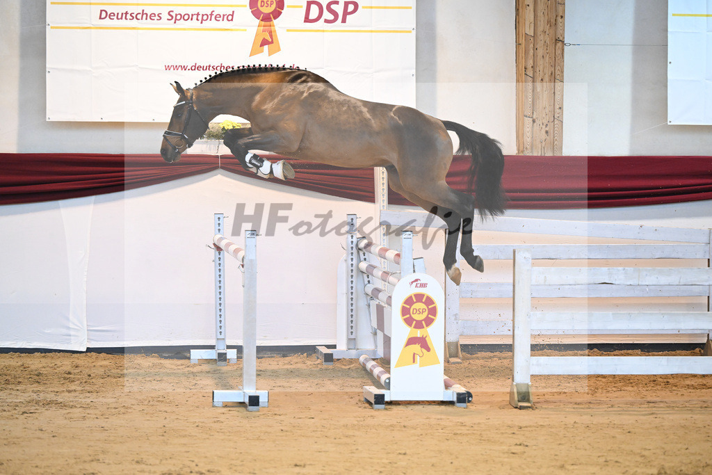 Kat-Nr. 24 v. Don VHP Z_Schwinghammer_66221306 | hf-fotografie - Realisiert mit Pictrs.com